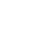 store icon