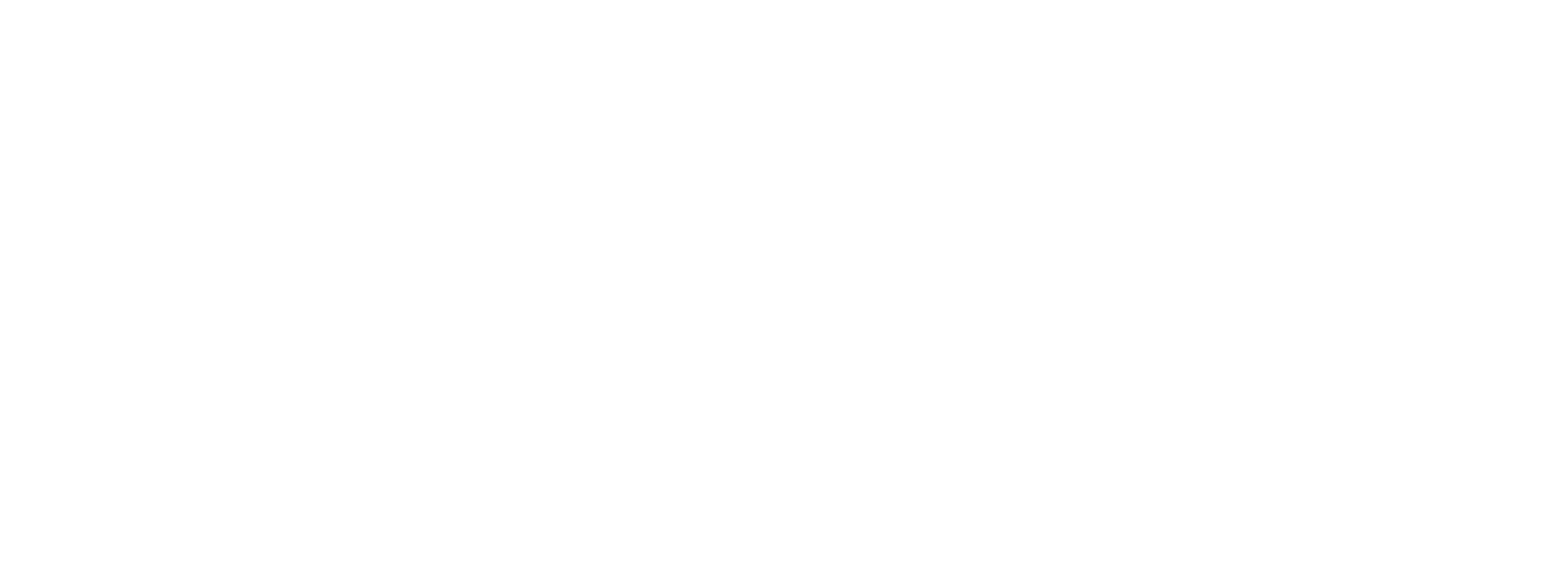Shoe Carnival white (1) Logo