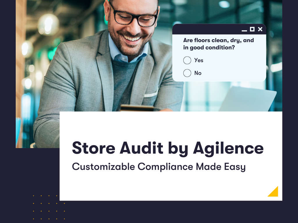 Agilence Store Audit Brochure